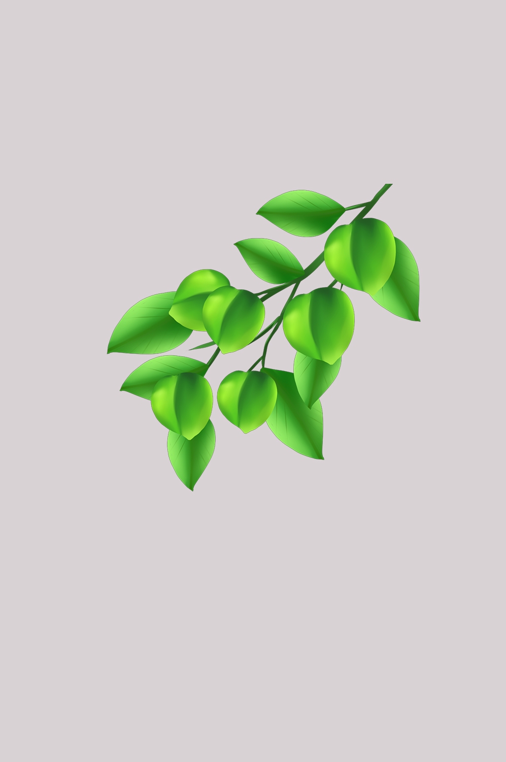 卡通手绘水果青梅图案素材图片装饰插画免抠79