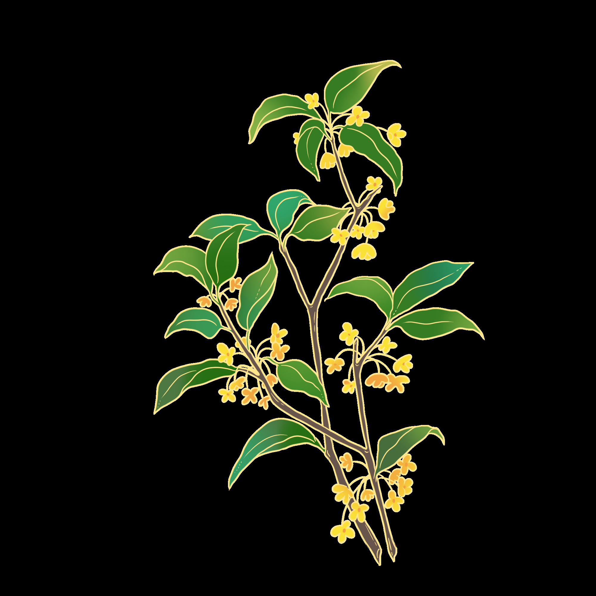 卡通手绘桂花花枝图案素材元素38