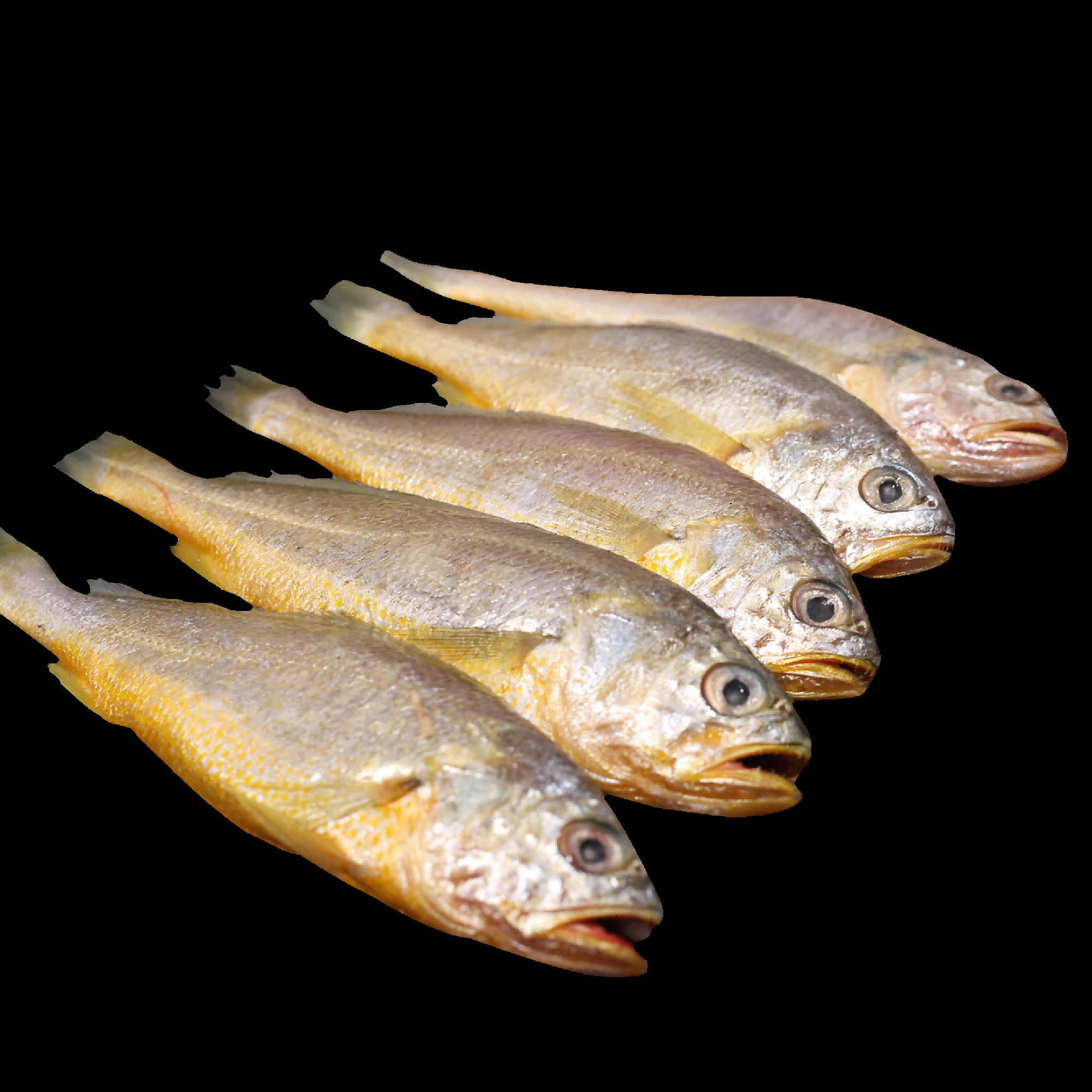 海鲜食材带鱼黄鱼素材图片元素插图免抠5
