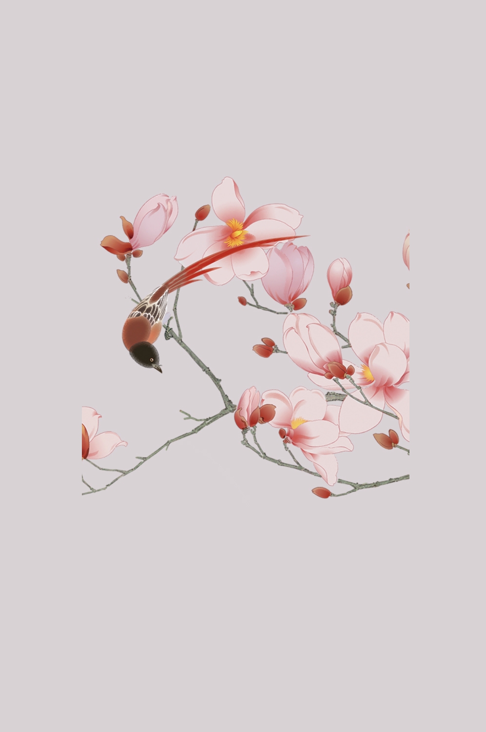 手绘淡雅玉兰花枝花朵装饰元素插图免抠素材27