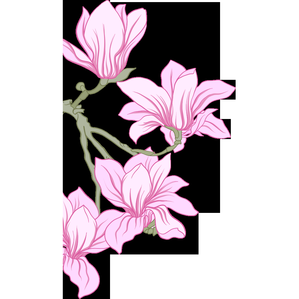 手绘淡雅玉兰花枝花朵装饰元素插图免抠素材23