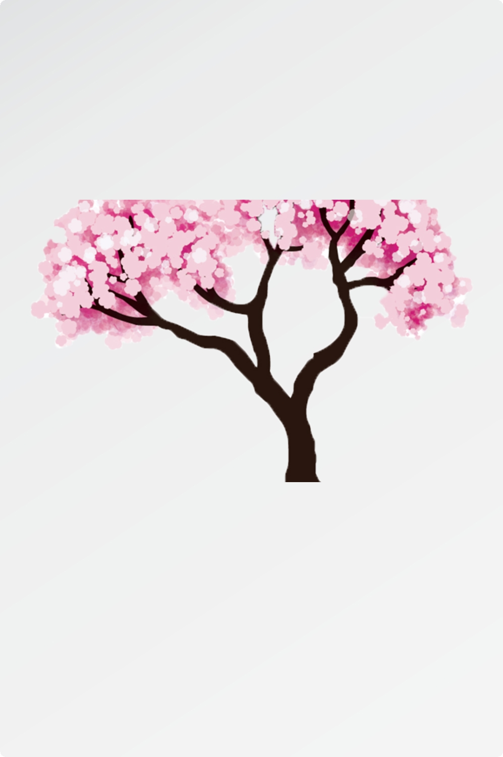 唯美樱花花树花枝樱花飘落图片装饰插图免抠17