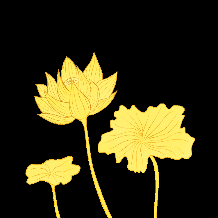金色莲花装饰元素免抠素材42