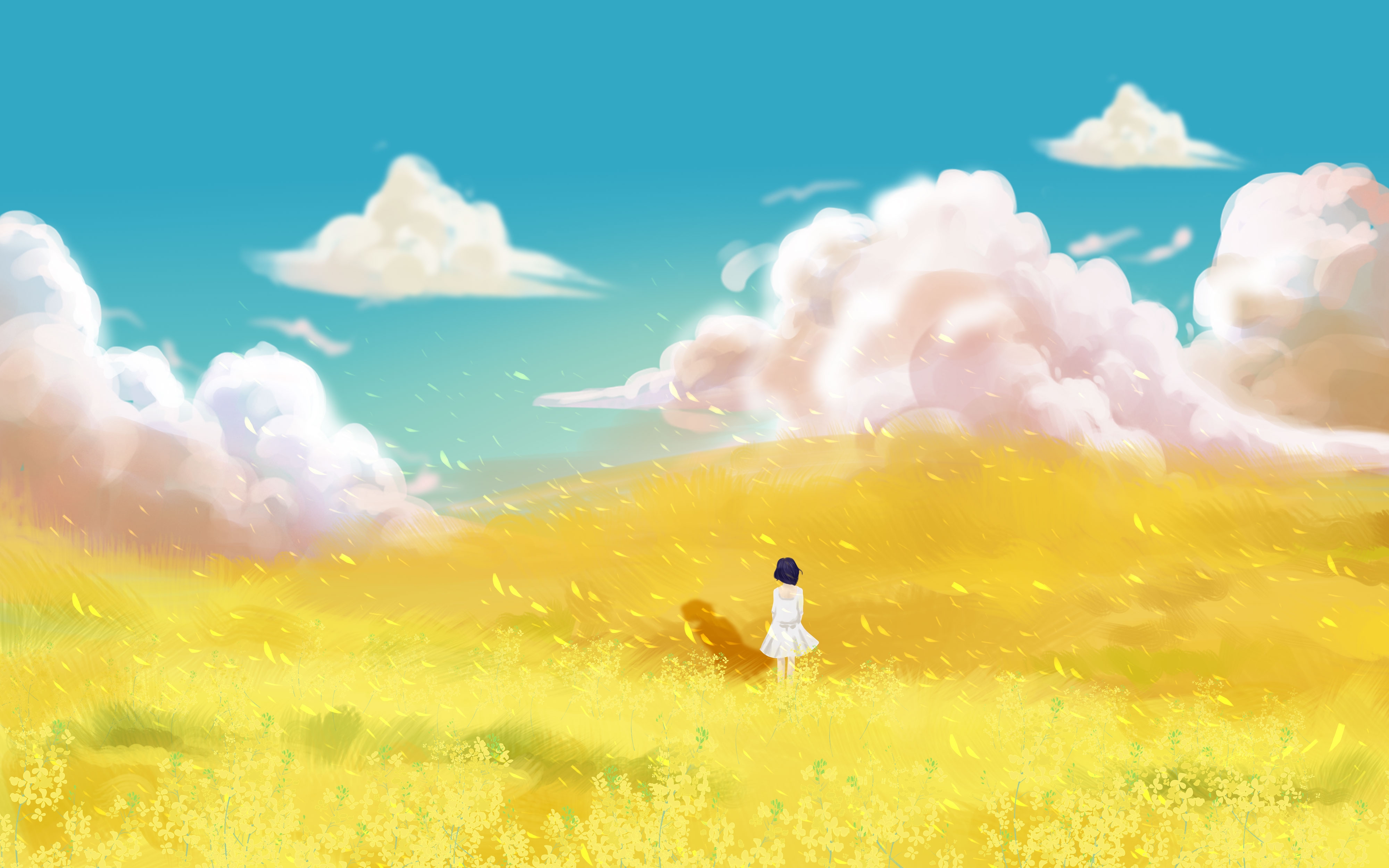 油菜花开田野风景背景插画图片banner海报3