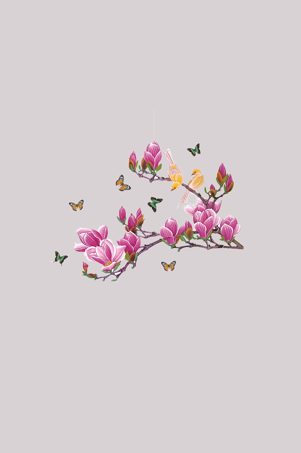 手绘淡雅玉兰花枝花朵装饰元素插图免抠素材42