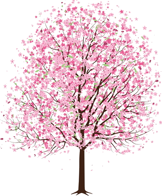 唯美樱花花树花枝樱花飘落图片装饰插图免抠25