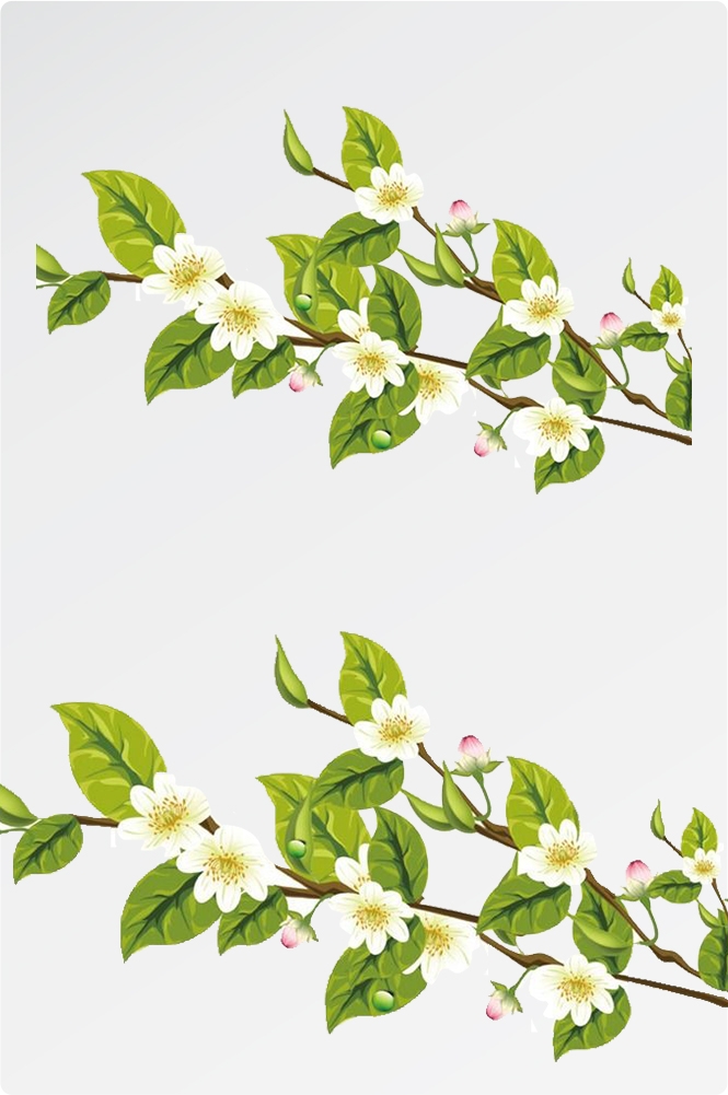 卡通手绘桂花花枝图案素材元素54