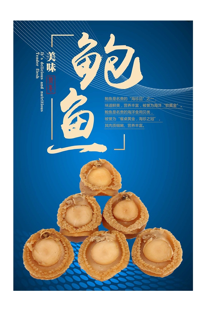 海报背景模板海鲜鲍鱼食材促销宣传单13