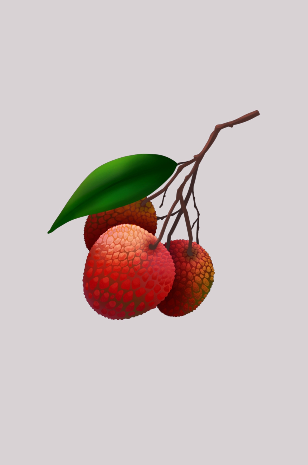 手绘荔枝图片素材装饰元素插画 png透明背景 (21)