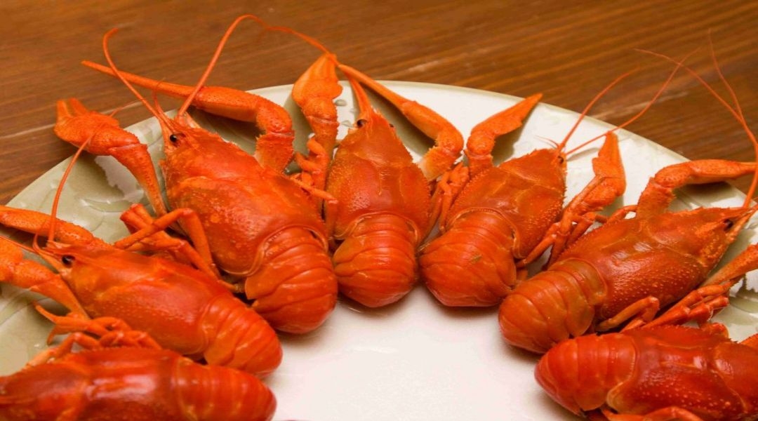 餐饮美食海报模板麻辣小龙虾香辣虾促销宣传广告素材 (72)