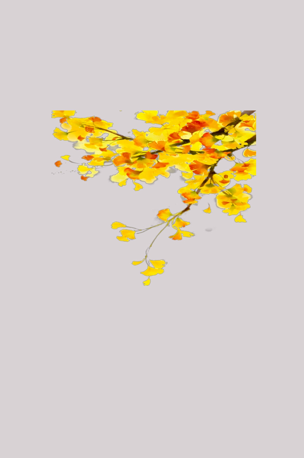 银杏叶树枝插画装饰元素免抠素材9