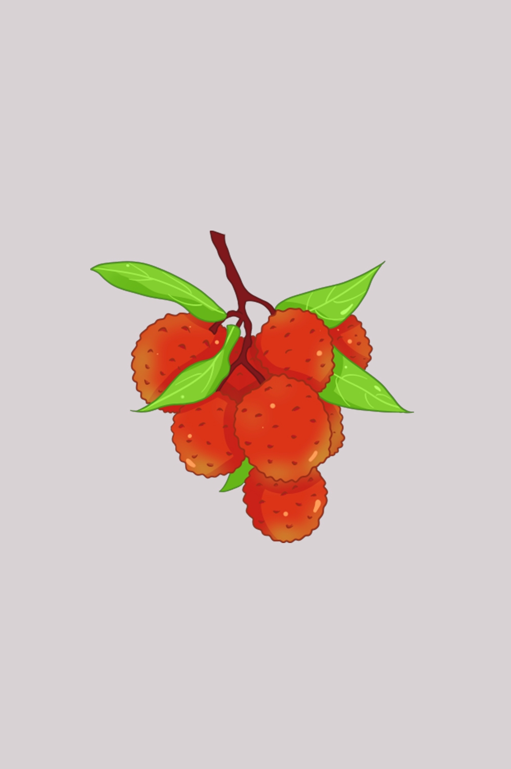 手绘荔枝图片素材装饰元素插画 png透明背景 (23)