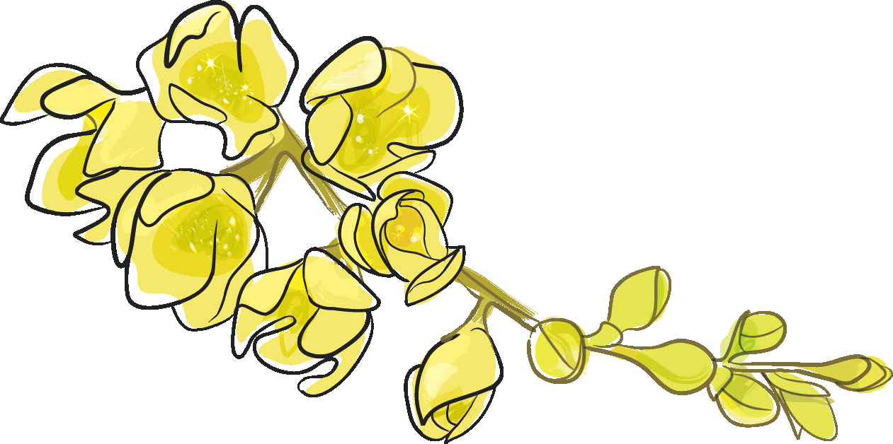 卡通手绘桂花花枝图案素材元素14