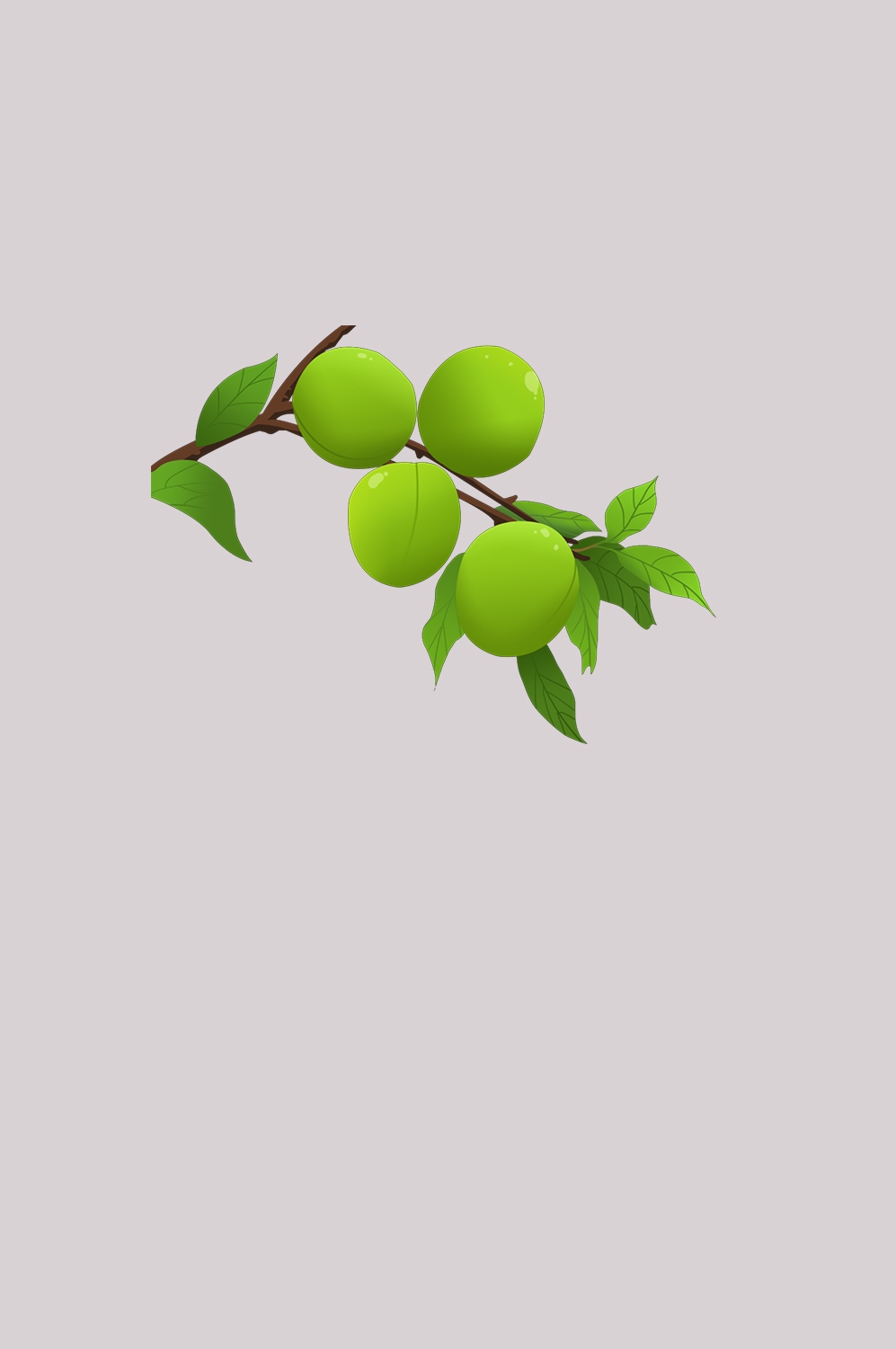 卡通手绘水果青梅图案素材图片装饰插画免抠44
