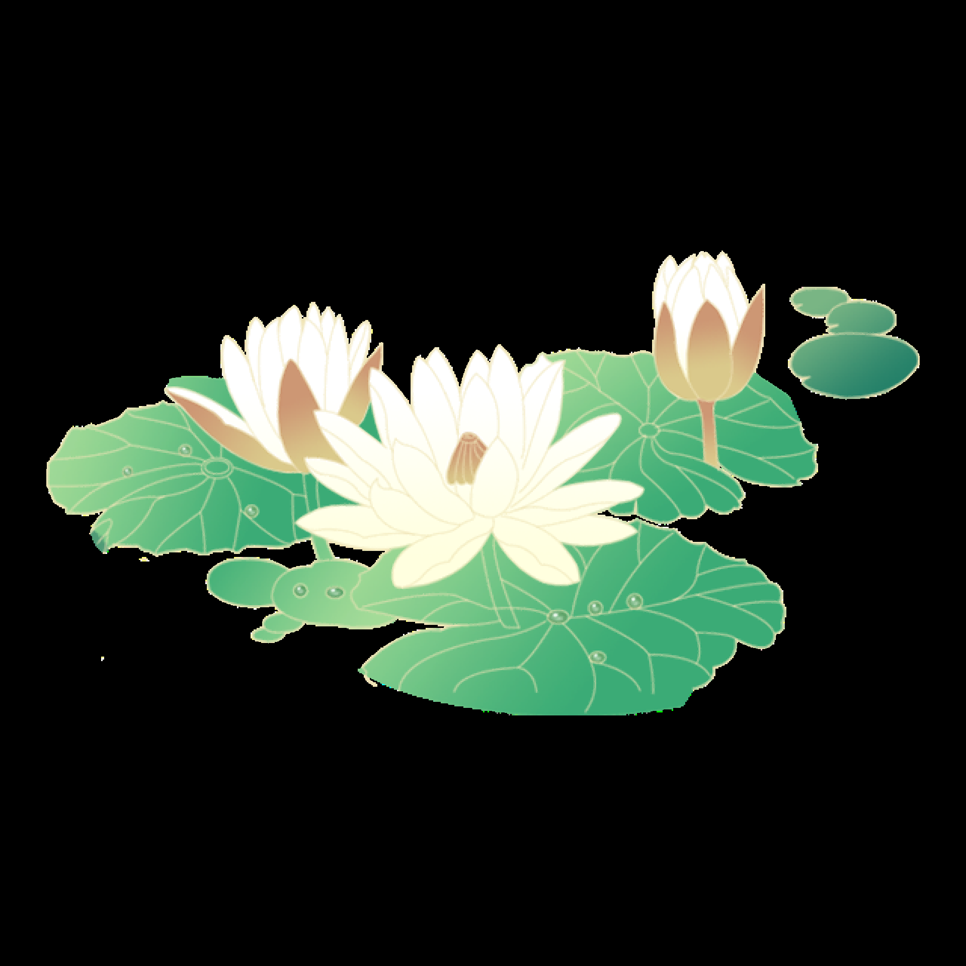 荷叶荷花素材插画装饰元素透明背景免抠素材6