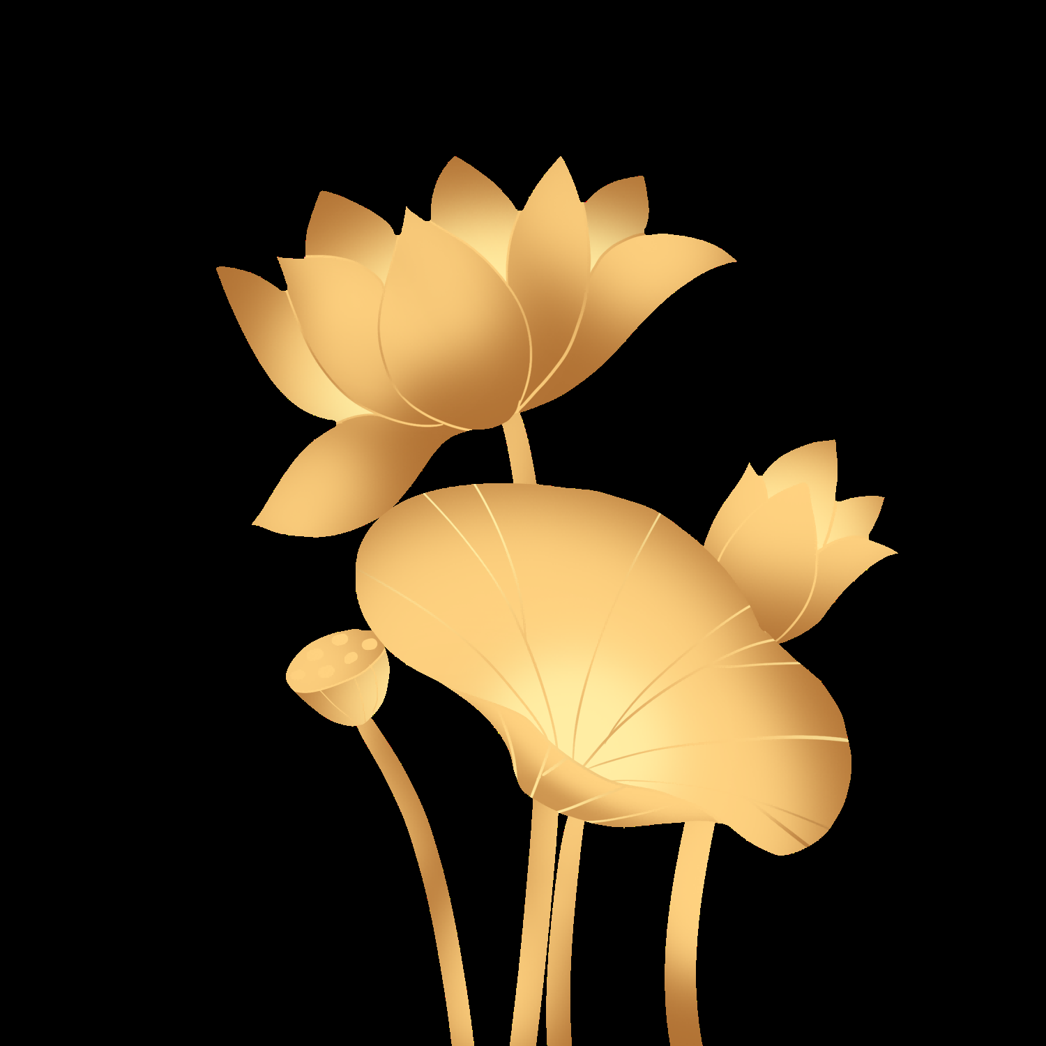 金色莲花装饰元素免抠素材19