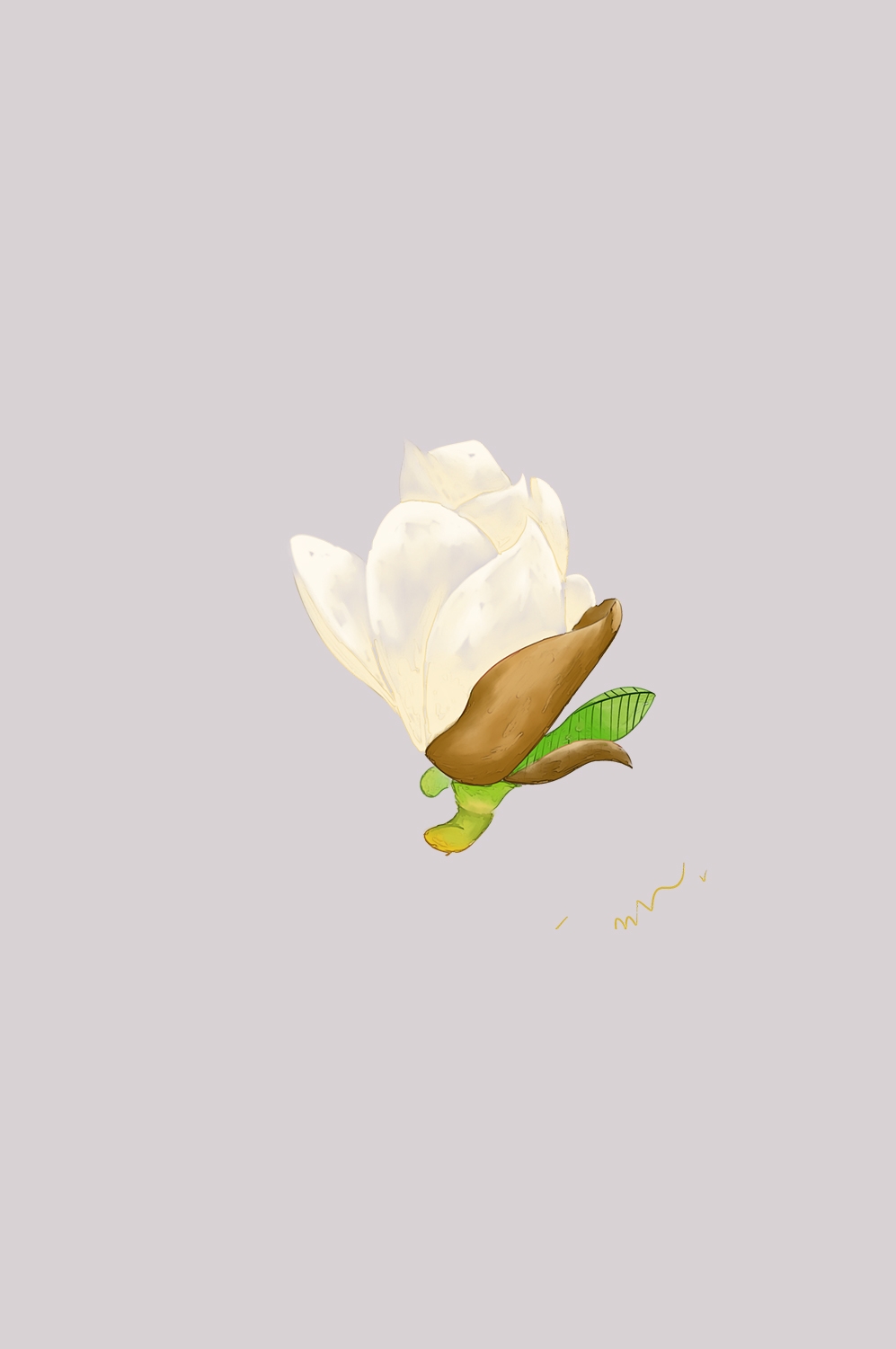 手绘淡雅玉兰花枝花朵装饰元素插图免抠素材28