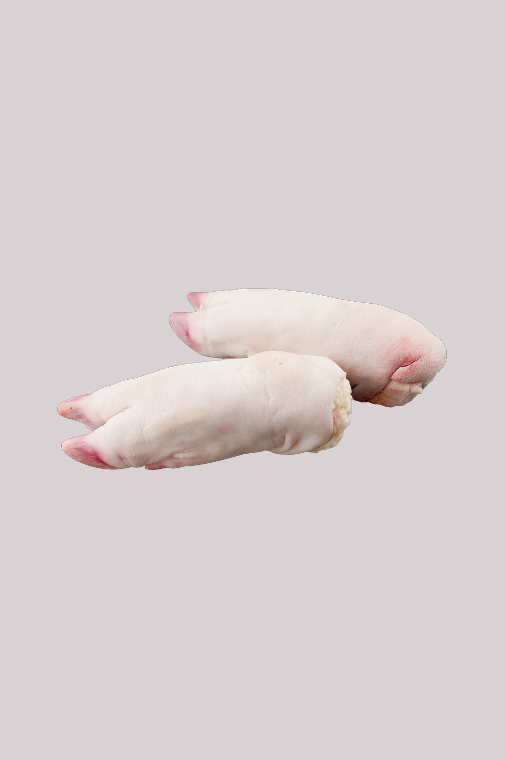 猪蹄图片食材生主题烤主题卤猪蹄图案素材免抠39