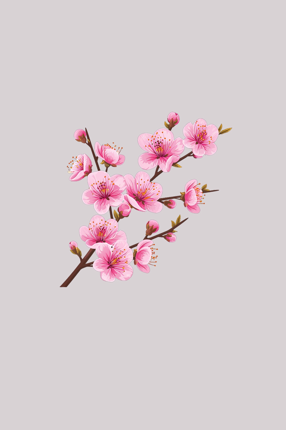 桃花素材图中国风海报设计桃树花枝透明背景80