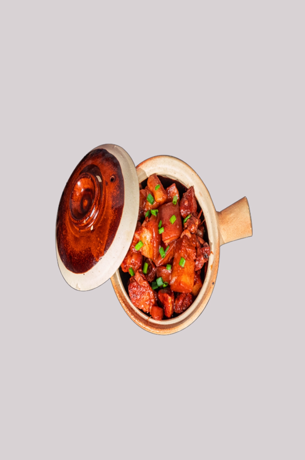 美食红烧肉图片红烧肉盖饭插图元素46