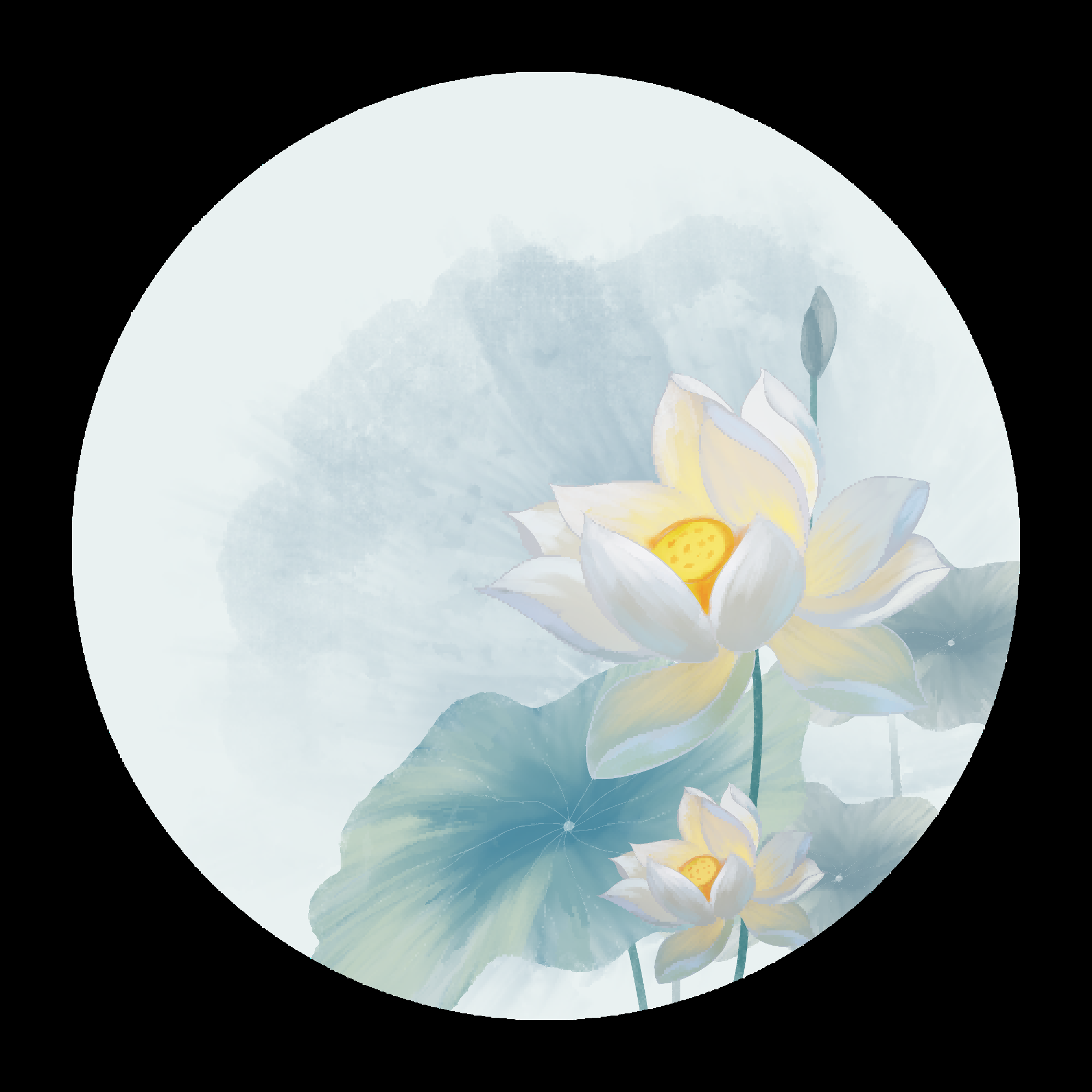 荷叶荷花素材插画装饰元素透明背景免抠素材37