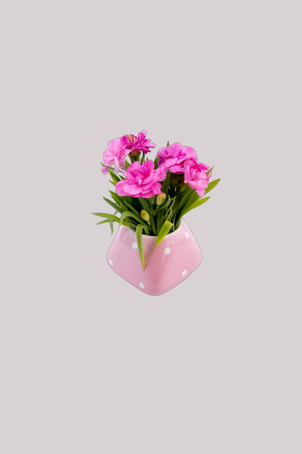 花瓶花艺装饰元素免抠素材28