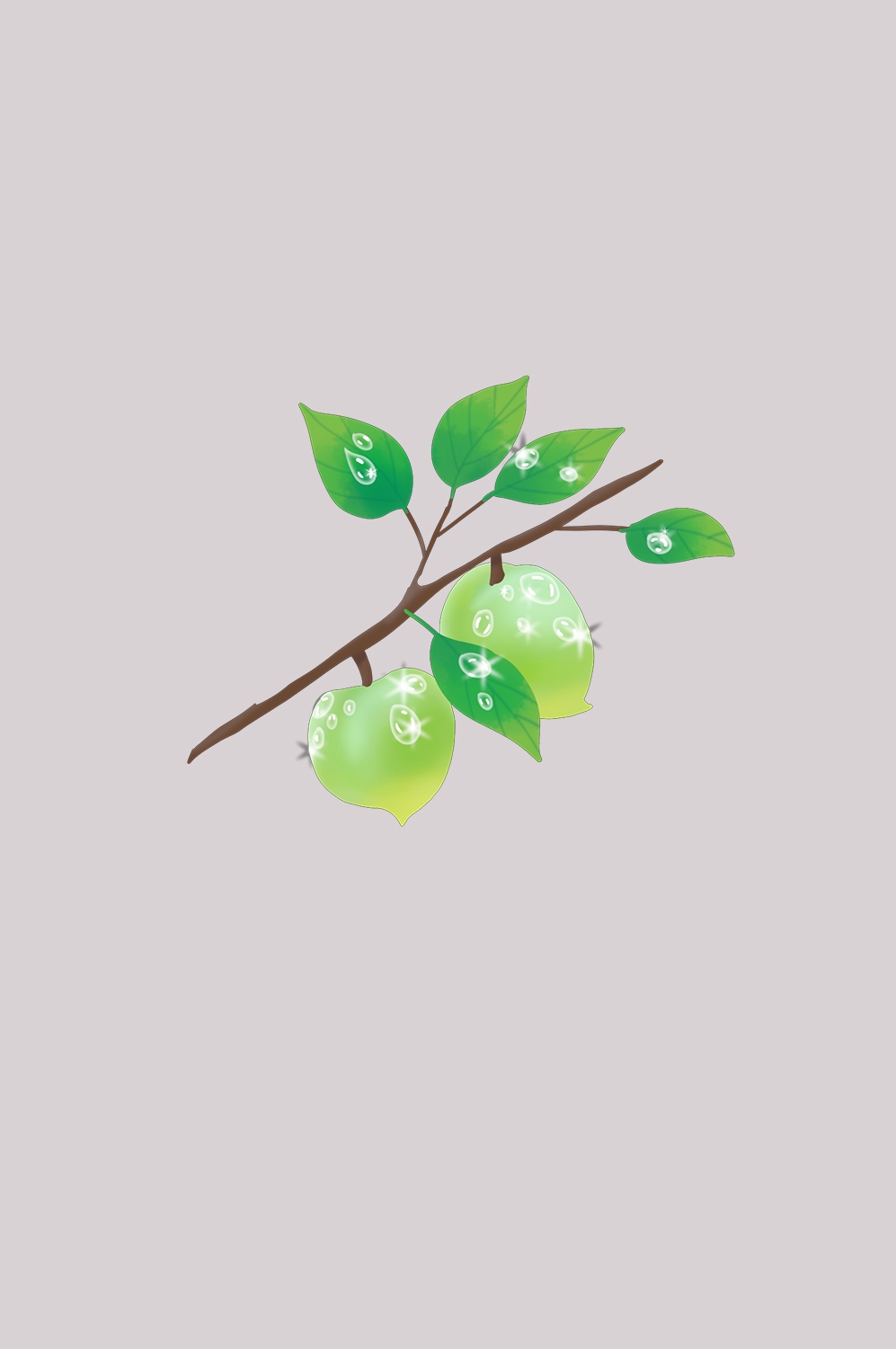 卡通手绘水果青梅图案素材图片装饰插画免抠6