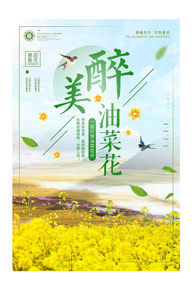 旅游观光PSD海报模板油菜花农田菜地促销宣传单展板 (3)