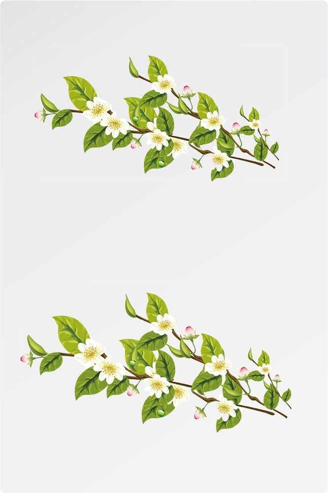 卡通手绘桂花花枝图案素材元素17