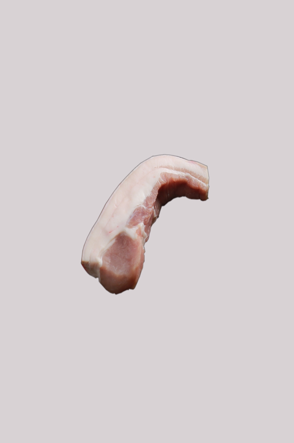 猪肉五花肉瘦肉排骨插画元素免抠素材57