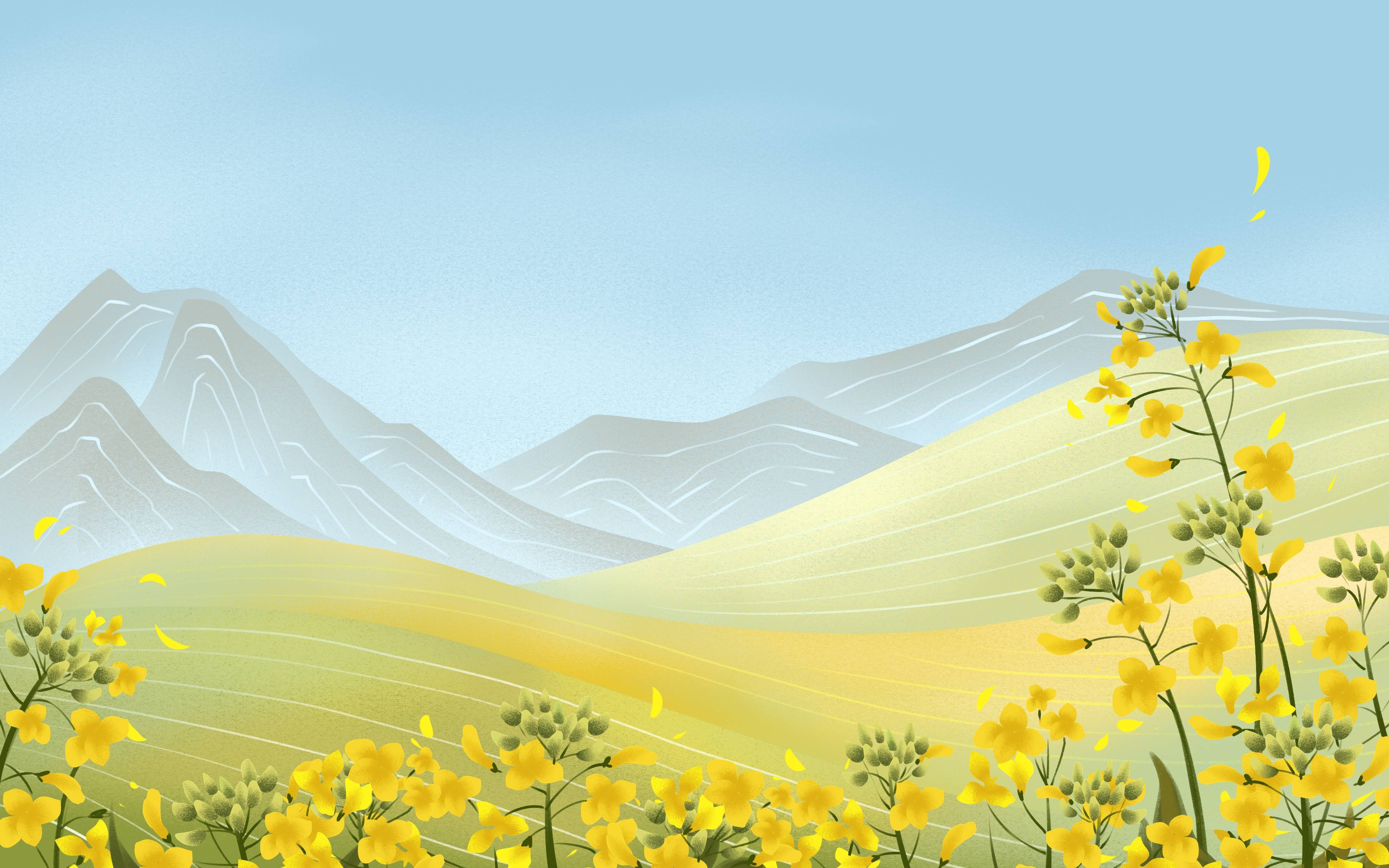 油菜花开田野风景背景插画图片banner海报4