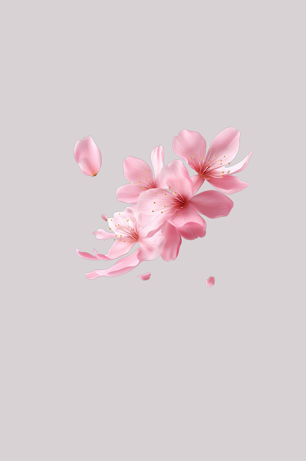 桃花素材图中国风海报设计桃树花枝透明背景1