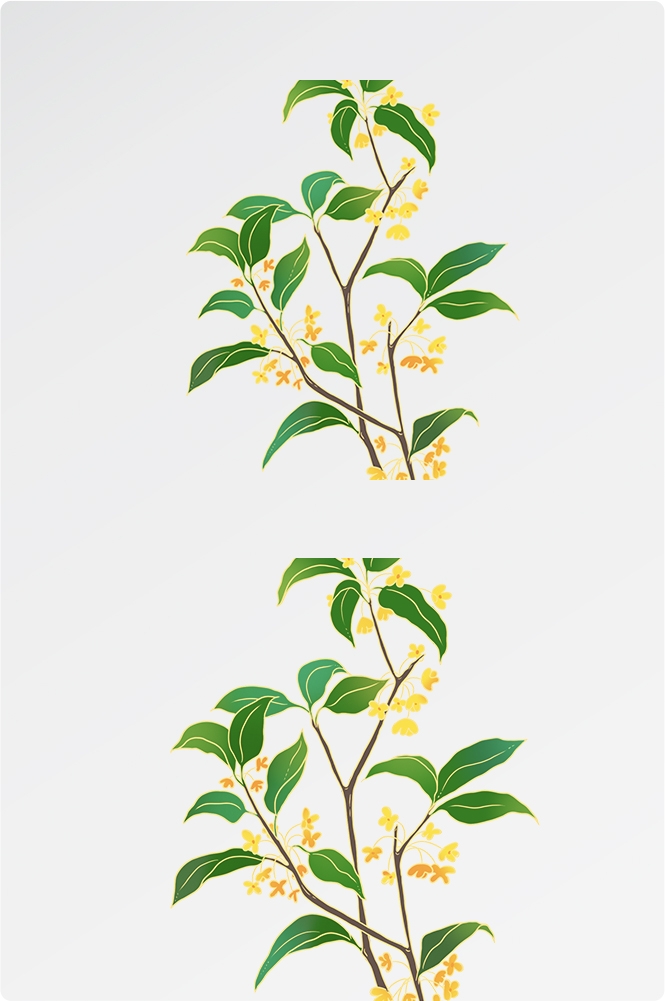 卡通手绘桂花花枝图案素材元素38