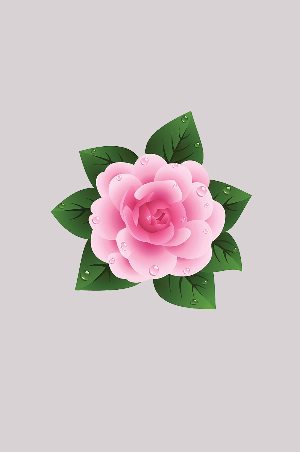山茶花图片装饰图案插画素材3