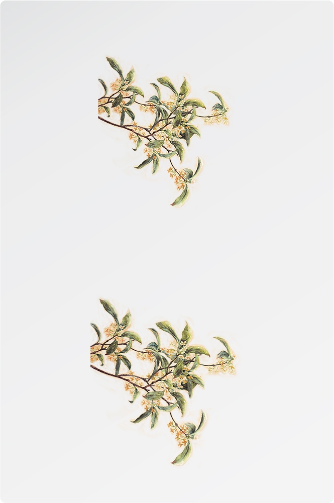卡通手绘桂花花枝图案素材元素36