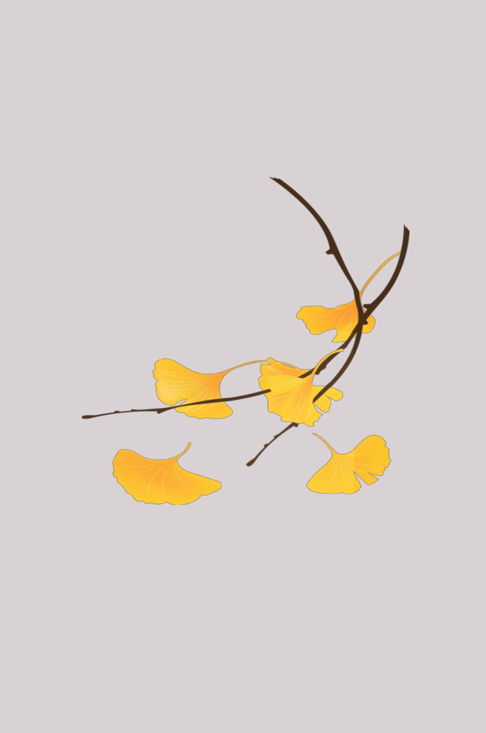 银杏叶树枝插画装饰元素免抠素材28