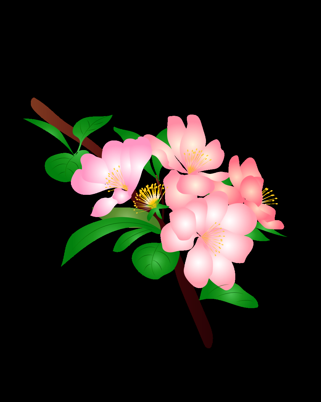 海棠花免抠元素装饰图案插画42