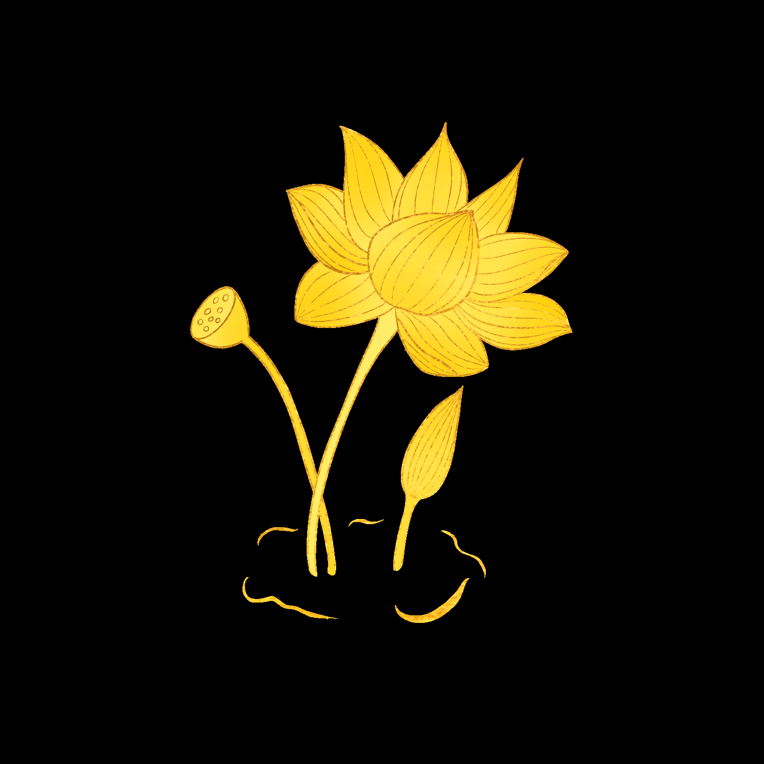 金色莲花装饰元素免抠素材11