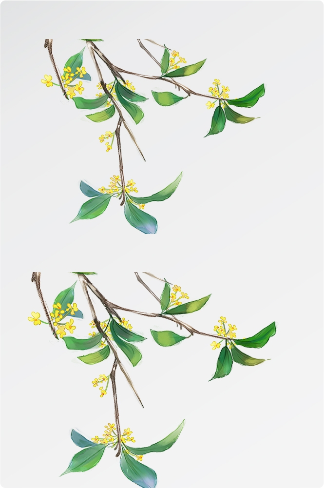 卡通手绘桂花花枝图案素材元素7