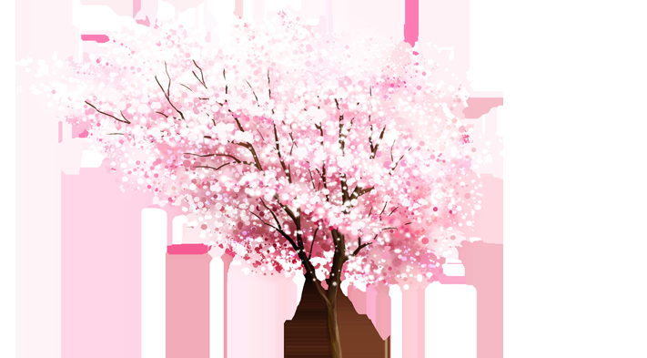 唯美樱花花树花枝樱花飘落图片装饰插图免抠5