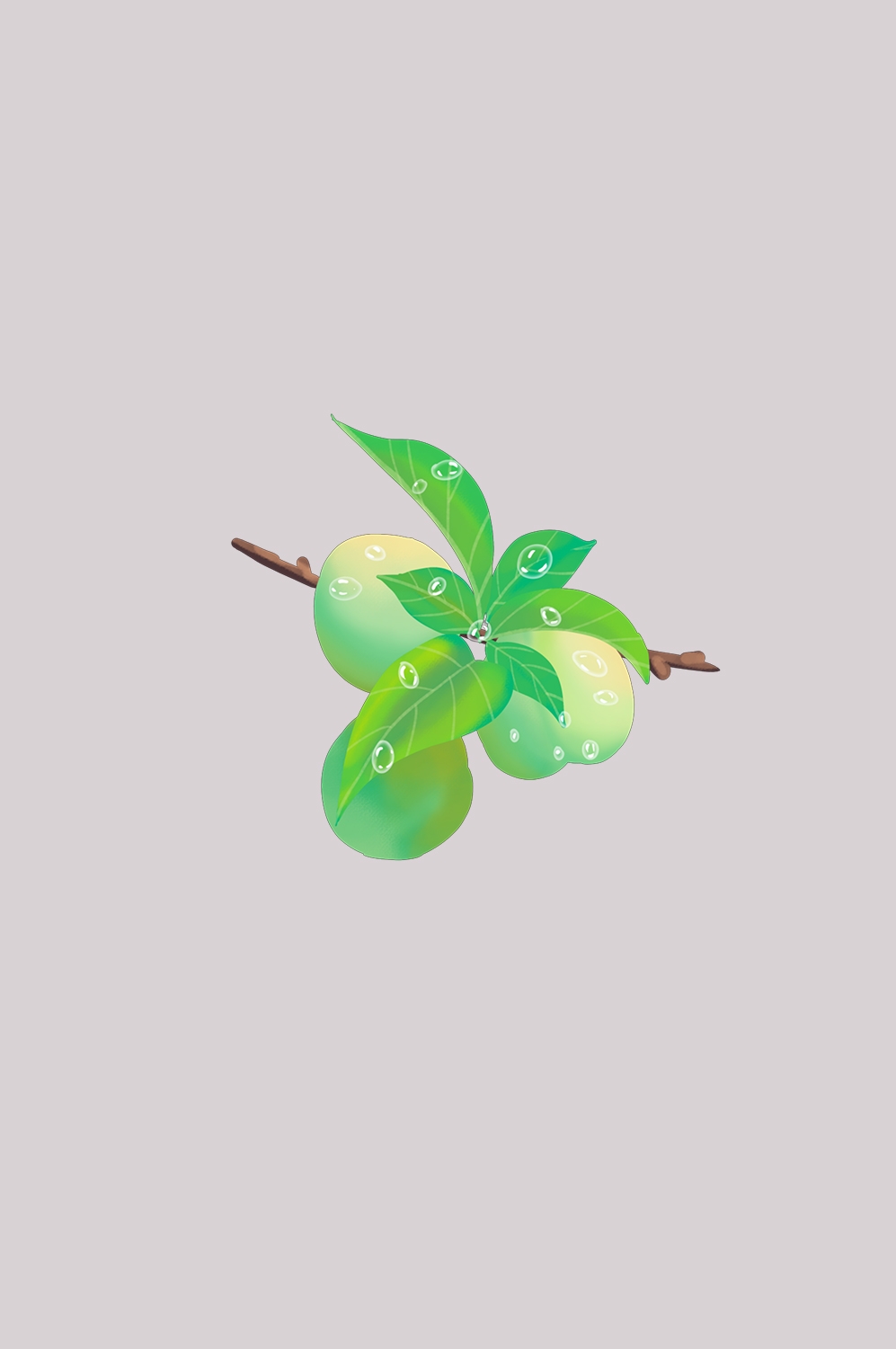 卡通手绘水果青梅图案素材图片装饰插画免抠1