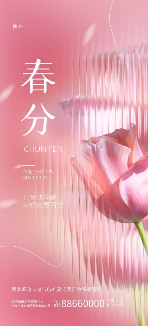 春分时令节气节日促销宣传插画背景海报14