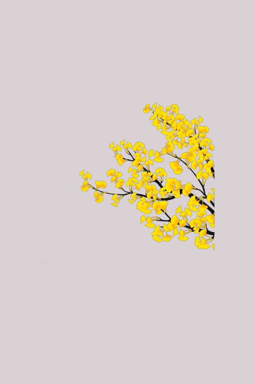 银杏叶树枝插画装饰元素免抠素材39
