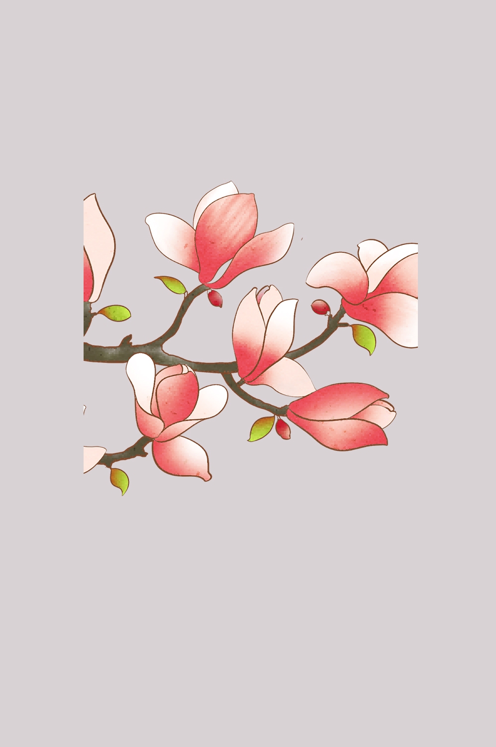 手绘淡雅玉兰花枝花朵装饰元素插图免抠素材24