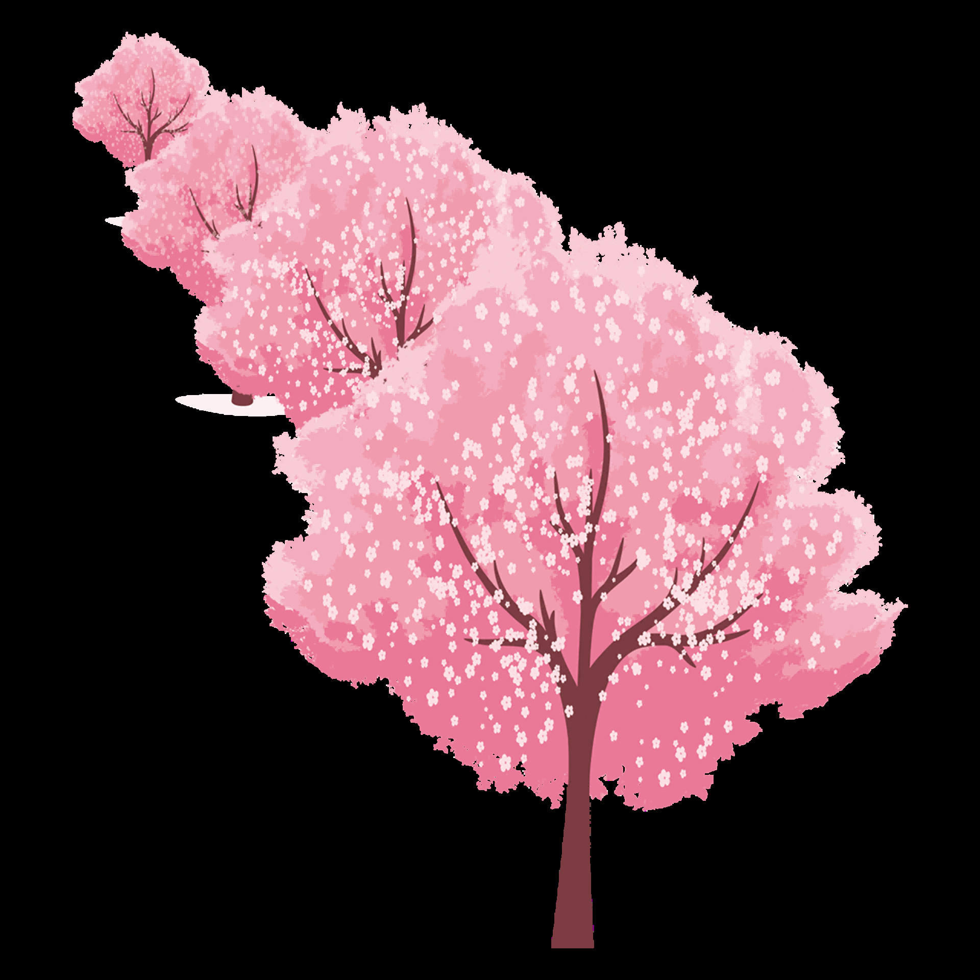 唯美樱花花树花枝樱花飘落图片装饰插图免抠36