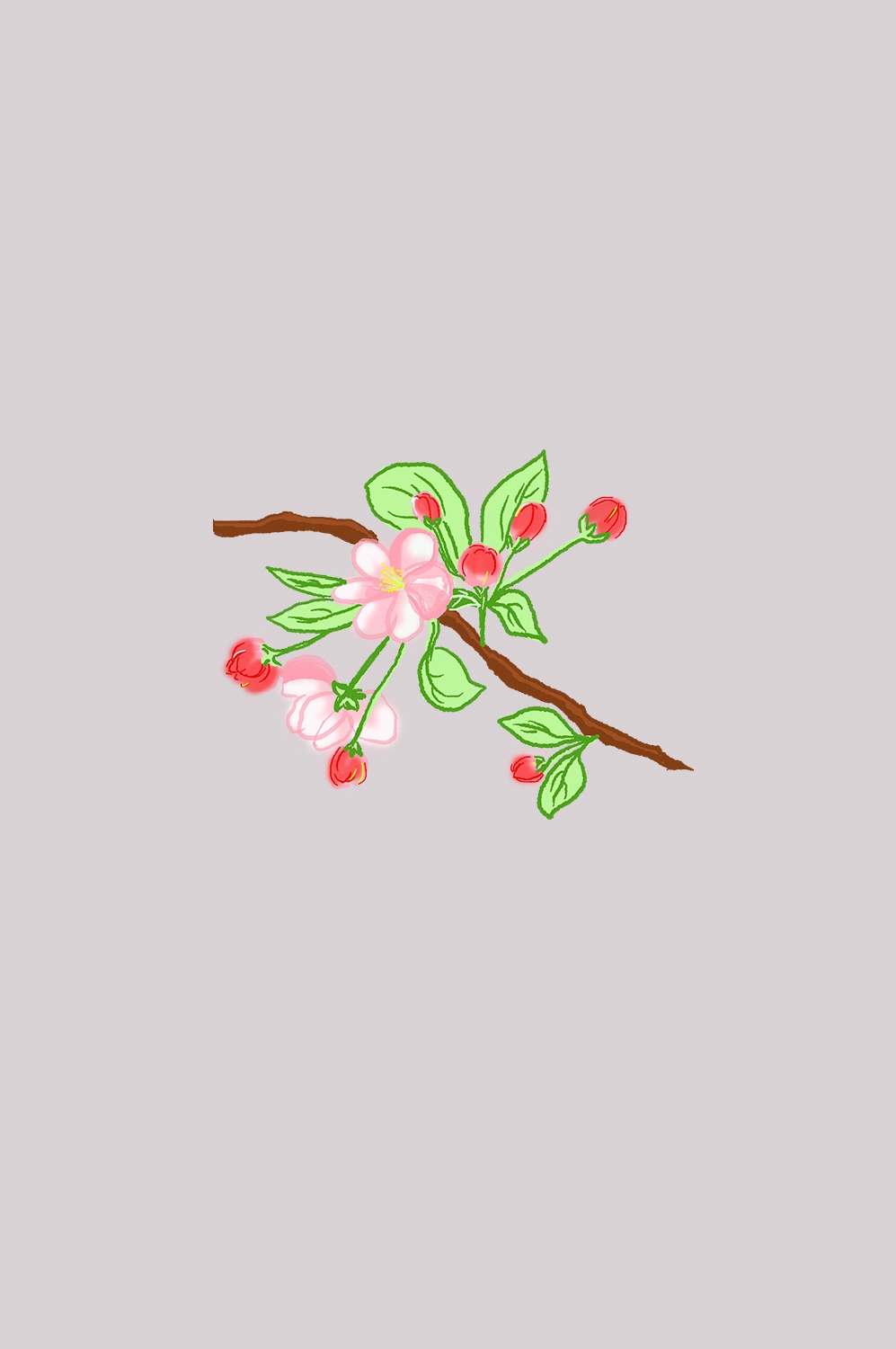 海棠花免抠元素装饰图案插画2