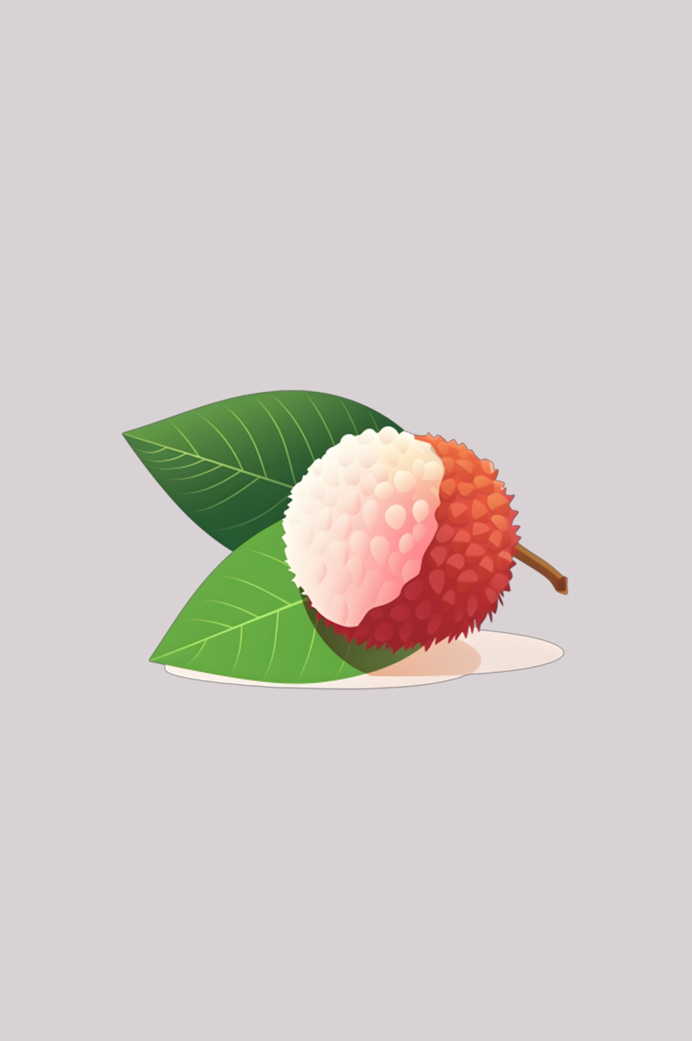 手绘荔枝图片素材装饰元素插画 png透明背景 (77)
