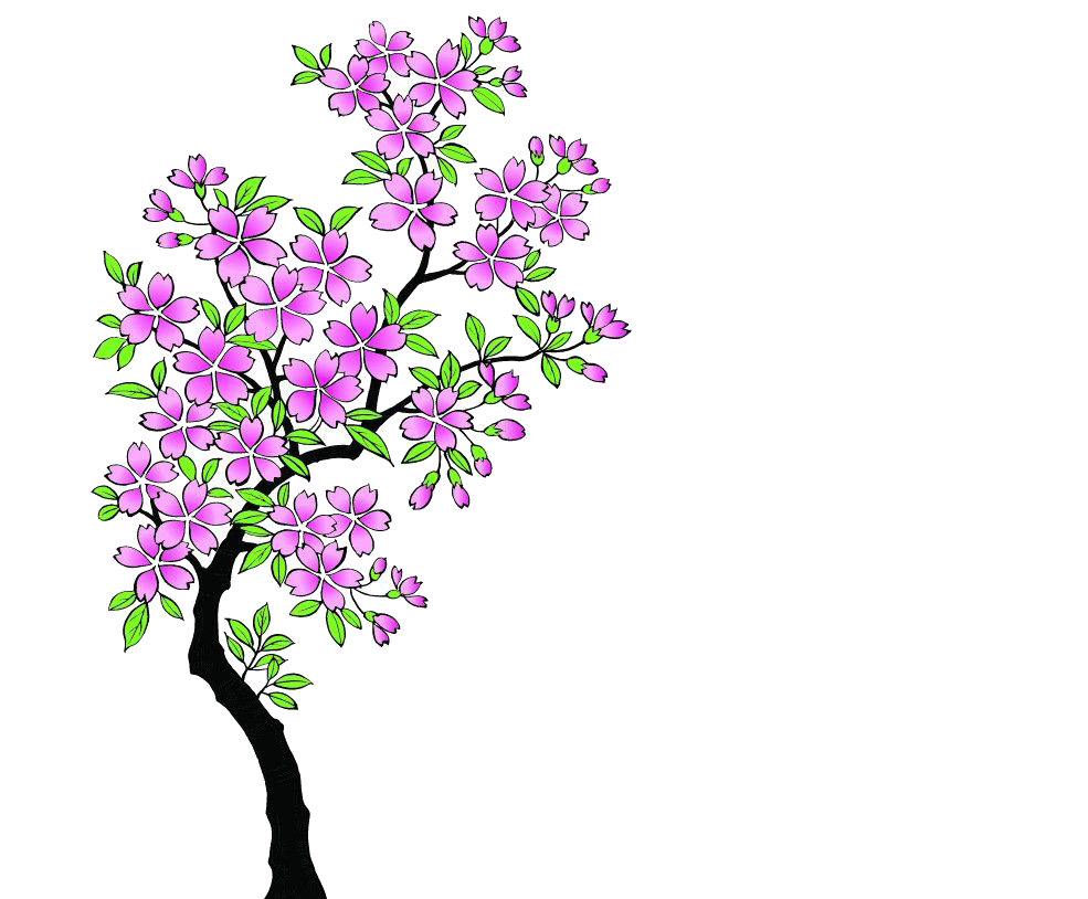 唯美樱花花树花枝樱花飘落图片装饰插图免抠30