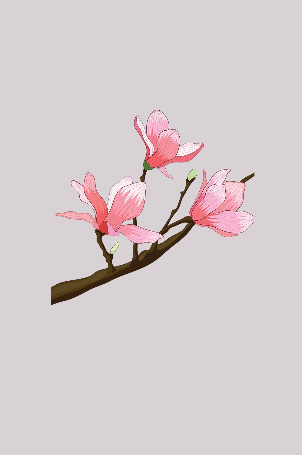 手绘淡雅玉兰花枝花朵装饰元素插图免抠素材43