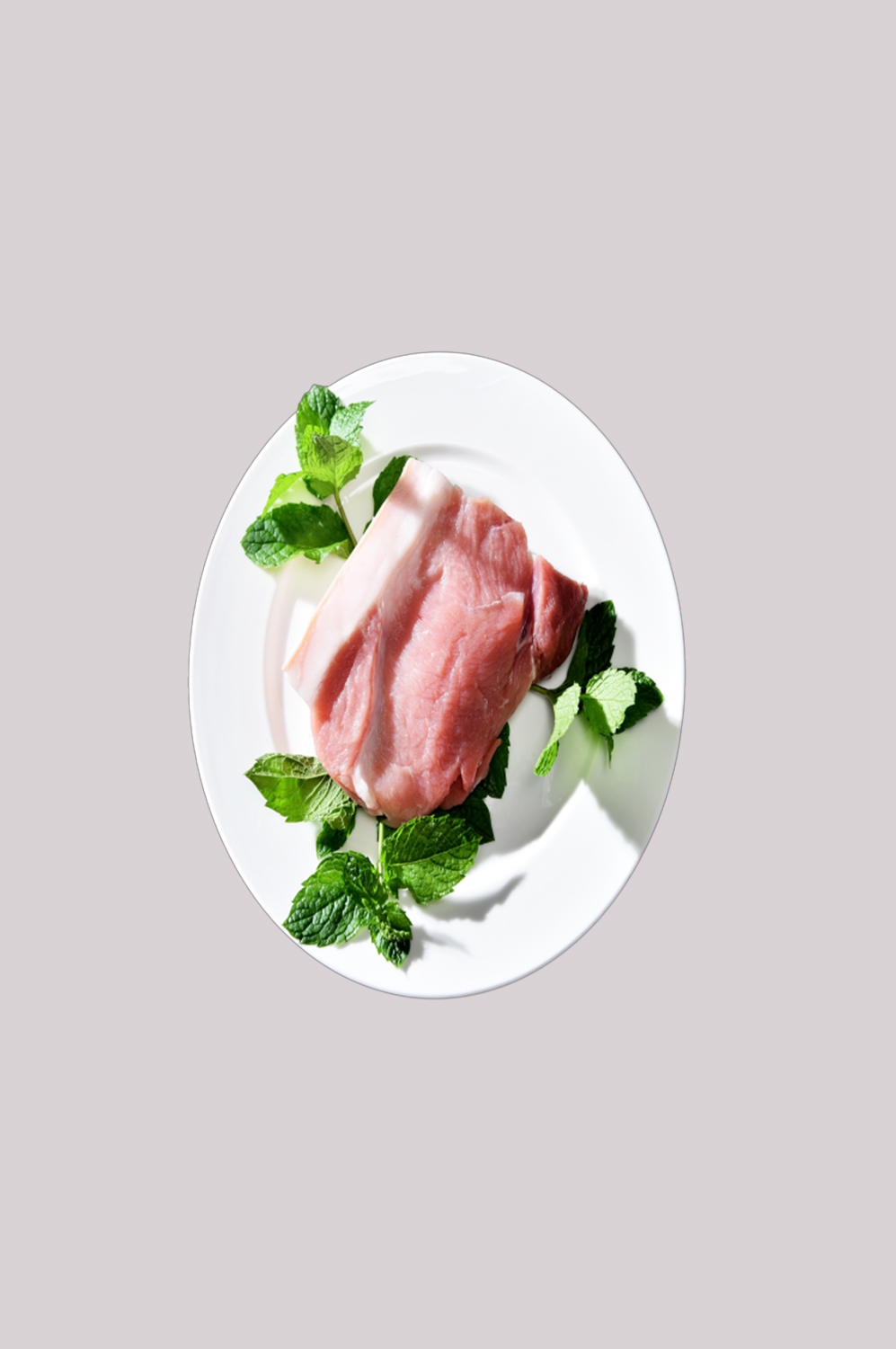 猪肉五花肉瘦肉排骨插画元素免抠素材63
